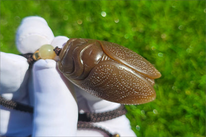 Certified Natural Full Brown Sugar Nephrite Jade Hand-Carved Cicada Pendant, 天然且末糖手工雕刻一鸣惊人(蝉)吊坠
