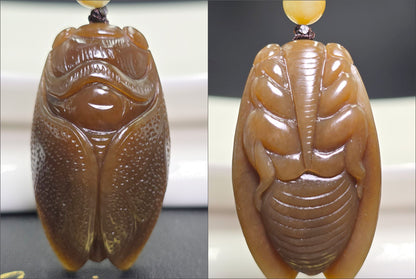 Certified Natural Full Brown Sugar Nephrite Jade Hand-Carved Cicada Pendant, 天然且末糖手工雕刻一鸣惊人(蝉)吊坠