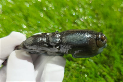 Certified Natural Loulan Nephrite Jade Hand-Carved Dog Handheld, 天然楼兰三色料手工雕刻狗手把件
