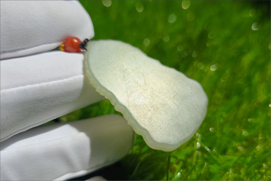Certified Natural Qingshui Nephrite Jade Carved Guanyin Pendant, 天然晴水和田玉观音吊坠