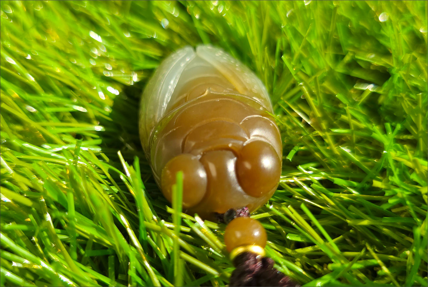 Certified Natural High-quality Ruoqiang Yellow and Sugar Brown Nephrite Jade Hand Carved Cicada Pendant, 天然若羌青黄口带糖和田玉手工雕刻一鸣惊人(蝉)吊坠